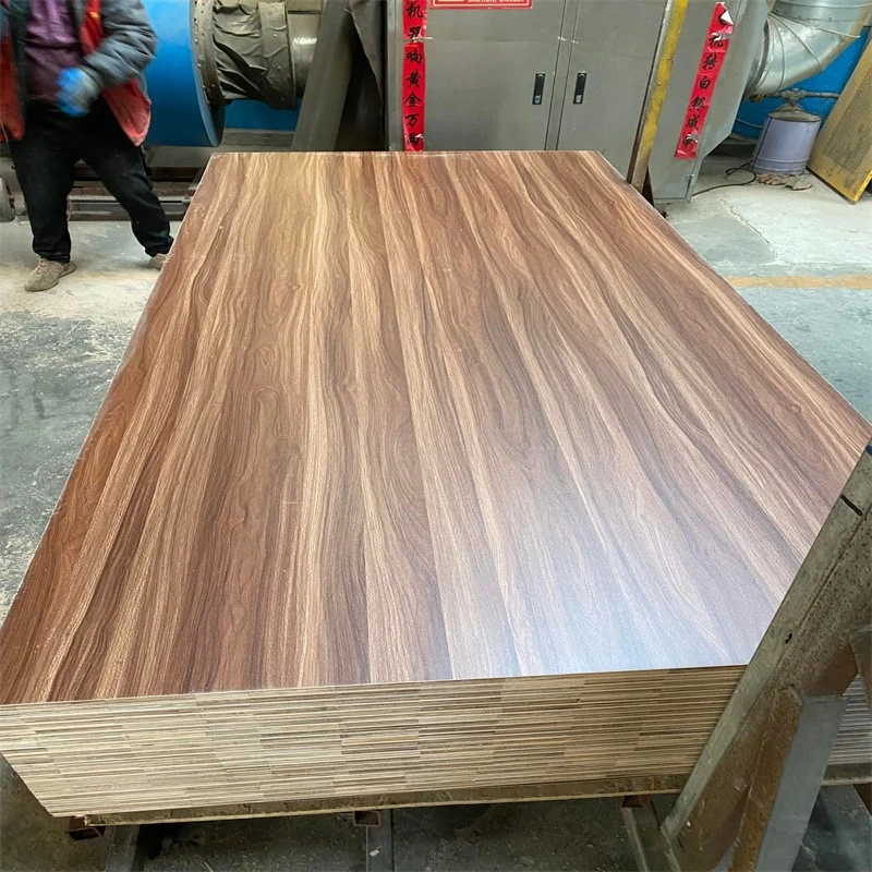 product-800-800 product-800-800